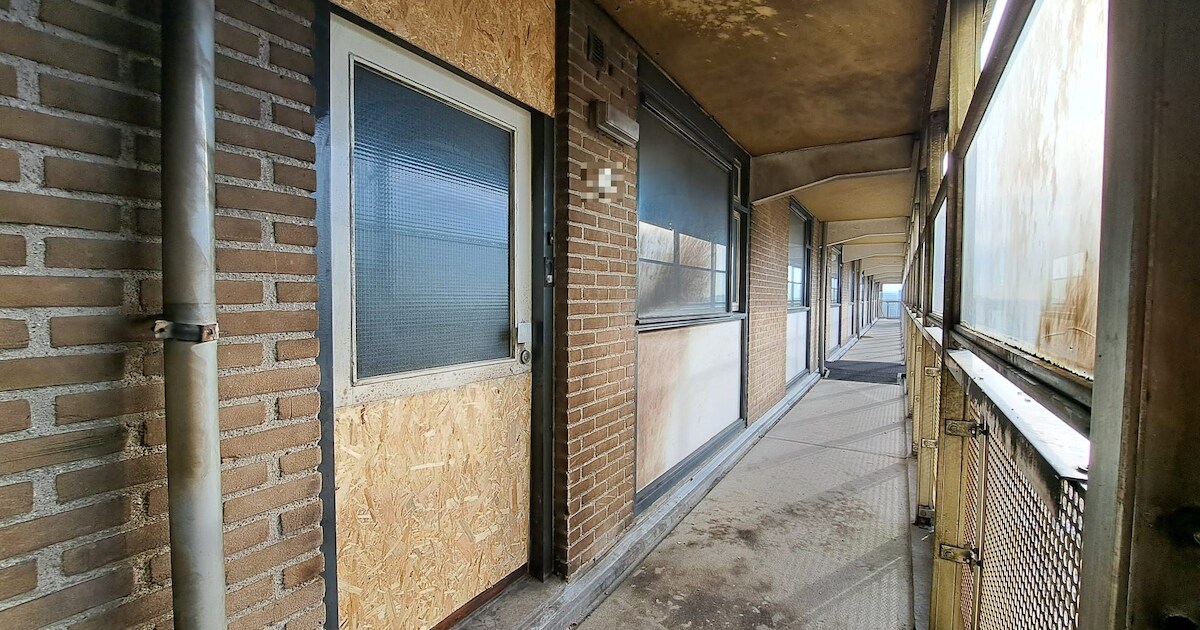 Na twee uitgebrande auto’s is nu de woning van de eigenaar in Zwolle aan de beurt: ‘Hoorden harde kn