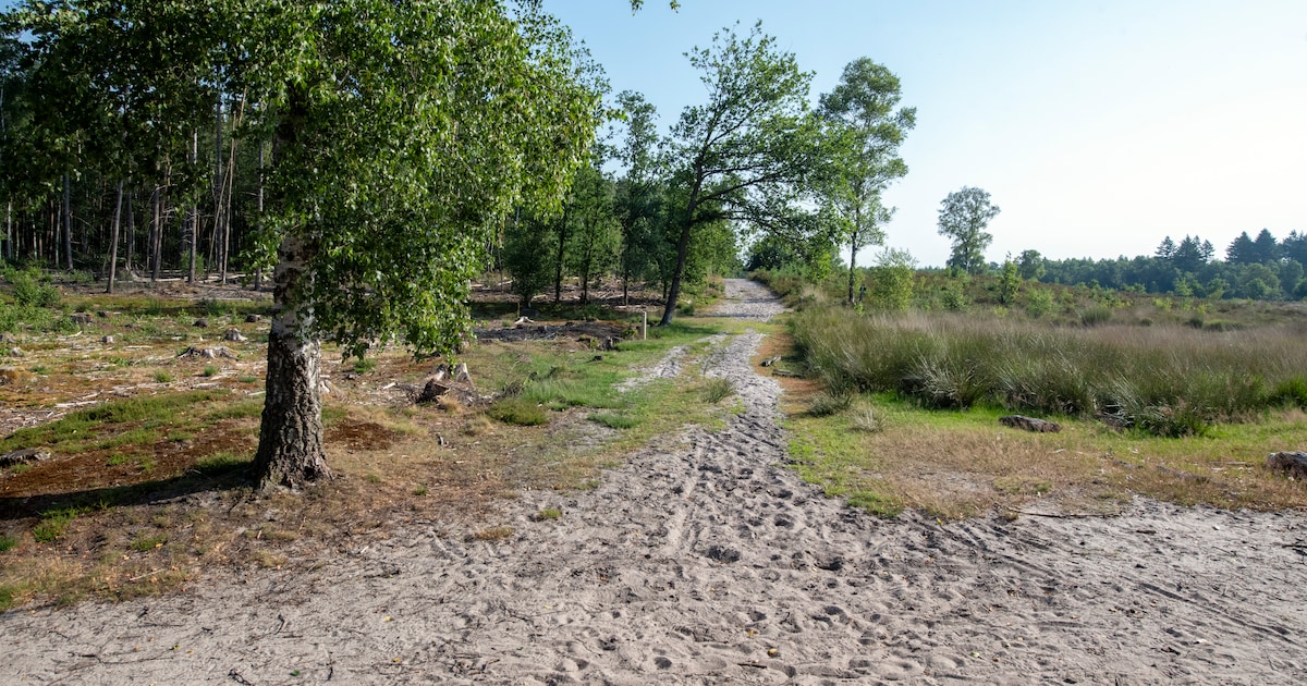 Inloopavond in Heerde over natuurherstel op de Renderklippen