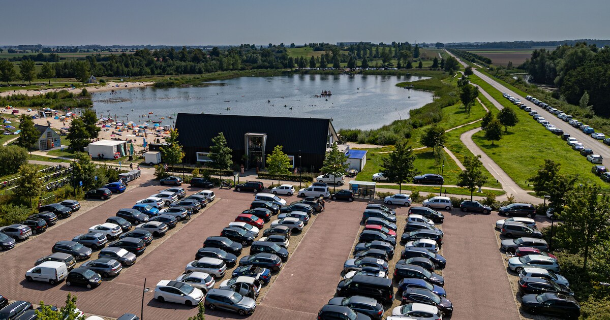 Visverbod na tientallen dode karpers in zwemplas bij Emmeloord