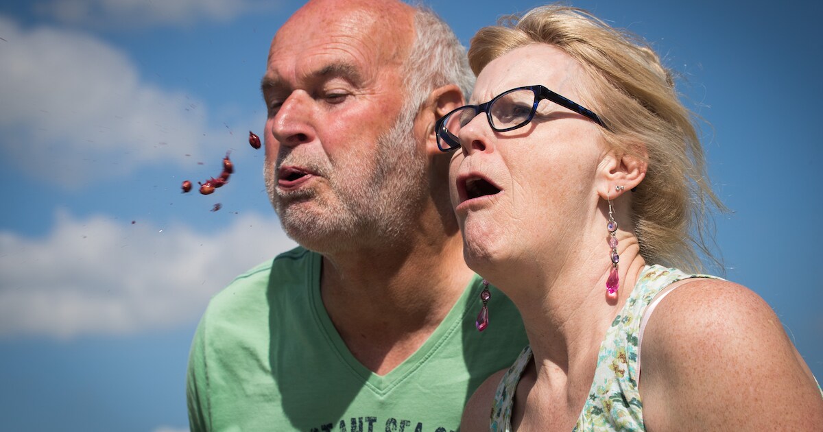 Kersenpit-spugen in Elshof: ‘Pit goed over tong laten rollen’