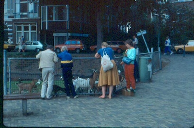 Toen in Zwolle: zo zag Park Eekhout er zo’n 50 jaar geleden uit