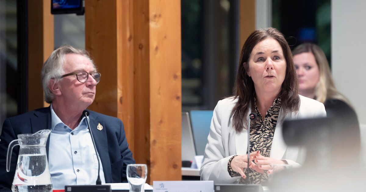 Ingrid Timmer verruilt wethouderschap Brummen voor functie als ...