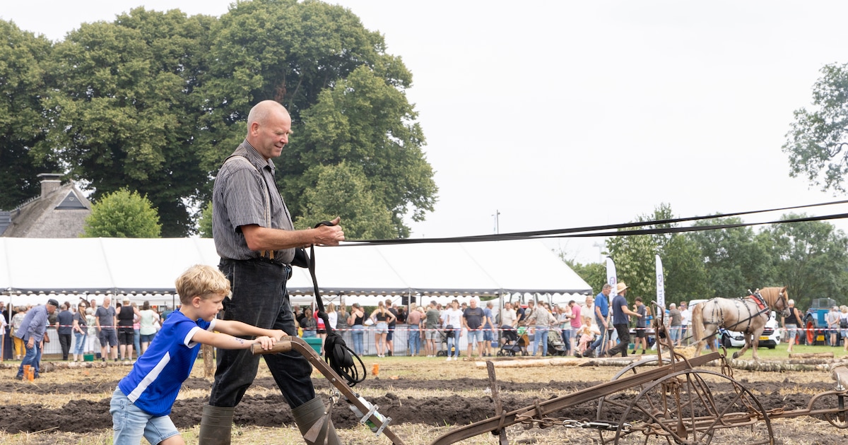 Holthoner Oogstdag brengt het boerenleven ‘zoals het ooit was’ weer eventjes tot leven
