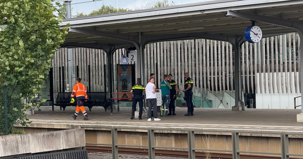 Aanrijding bij station Harderwijk: passagiers drie kwartier vast in trein, urenlang verstoring.