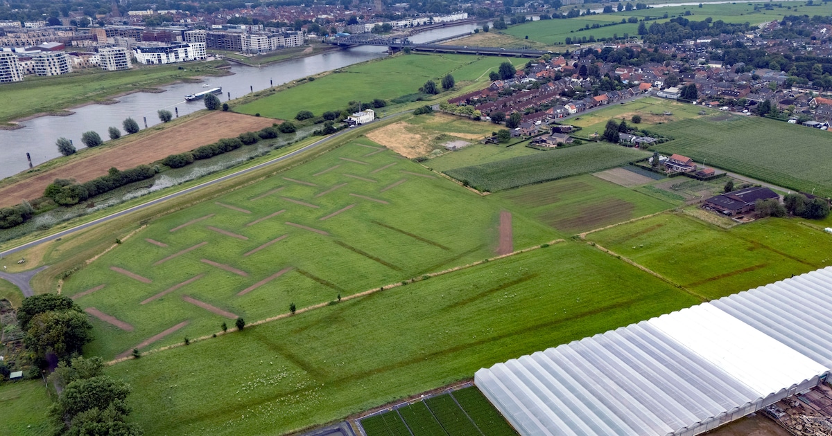In De Hoven dromen inwoners hardop: terug naar eigen buurtsuper, veiliger verkeer en weer een echt d