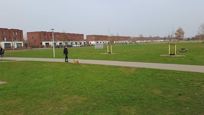 Heibel in Apeldoorns park: ‘Opeens scheurt er auto langs de speelplaats’