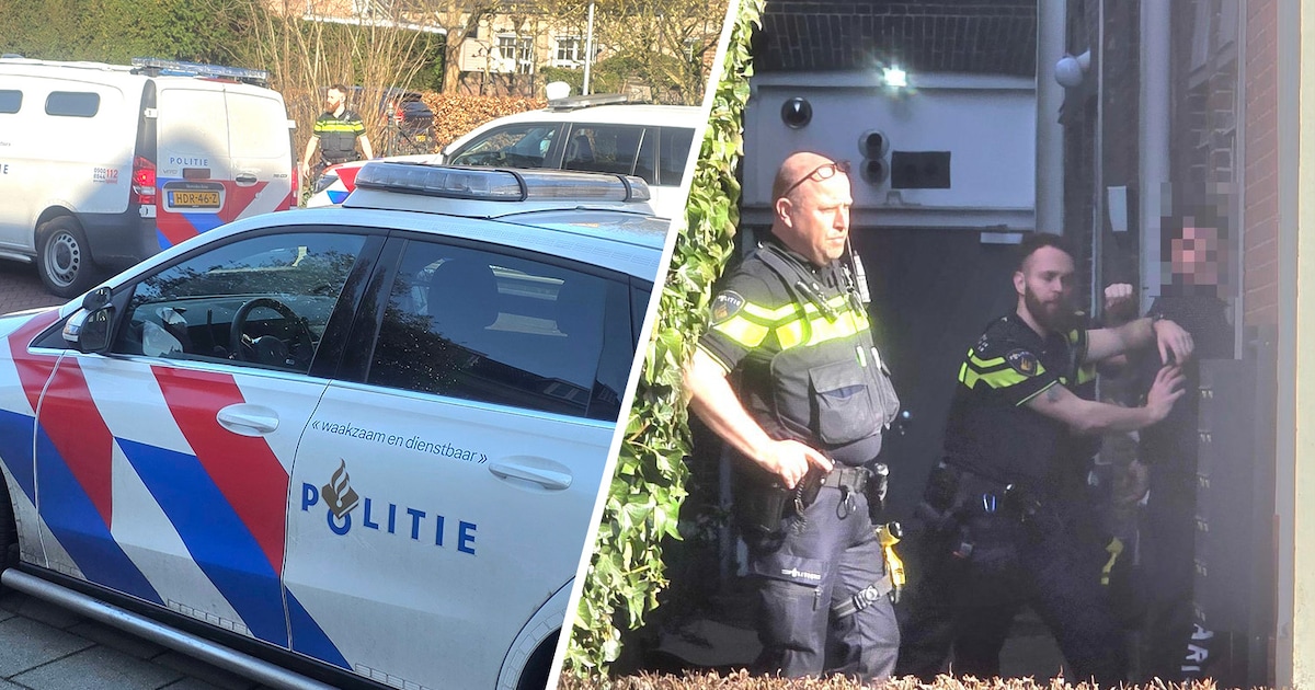 Politie grijpt in na mishandeling in Meppel, man (22) getaserd en aangehouden