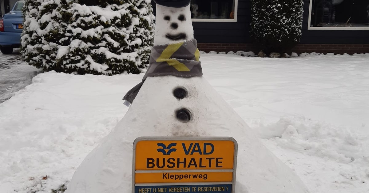 Dit stuurden jullie in: Hans maakt VAD-sneeuwpop • 25 jaar vakmanschap en humor in Vaassen