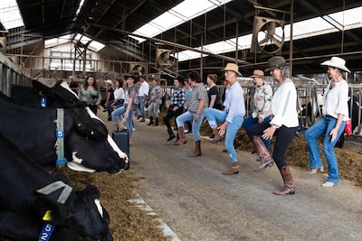 Linedance tussen de koeien: ‘Van dat oubollige beeld klopt niets’