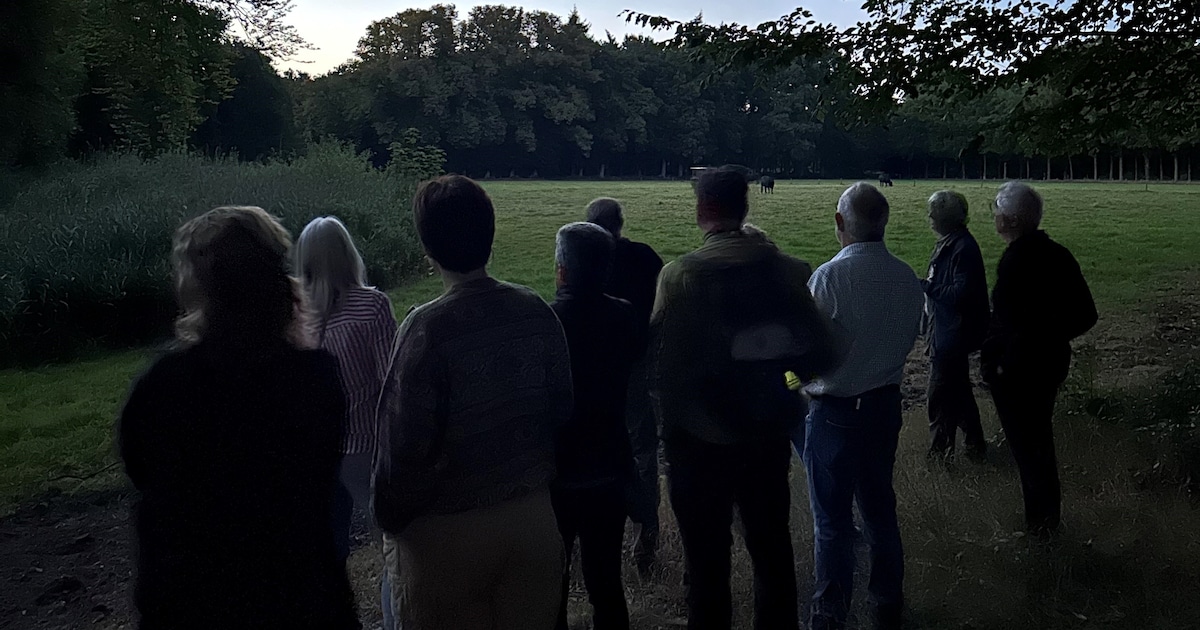 Avondexcursie door natuurgebied Collendoorn