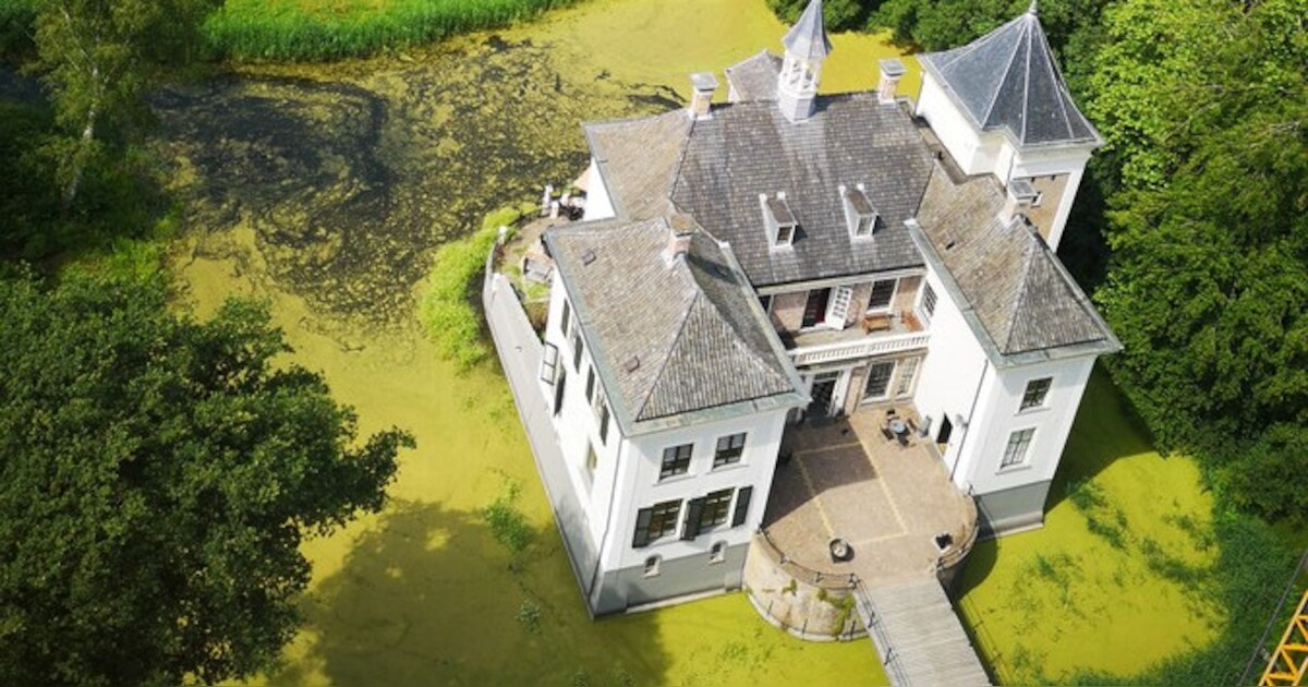 Zomertentoonstelling in Olst draait om landschap en hout