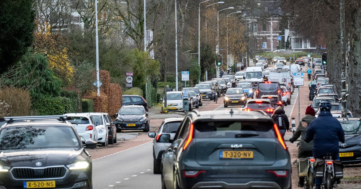 Met lasergun achter een boom checken verslaggevers of Nijmegen 30 rijdt: spoiler, bijna niemand