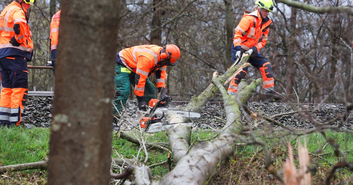 Boom op het spoor: treinverkeer richting Friesland komt weer op gang