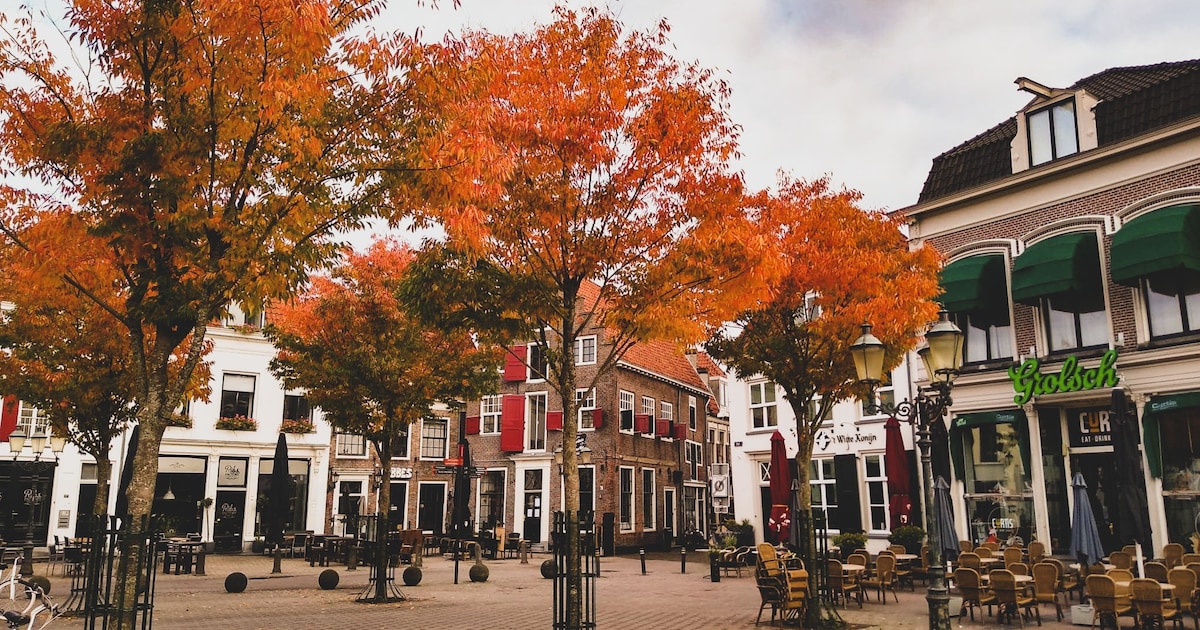 Weekendtips: dit kun je doen in Amersfoort (7 – 9 november)