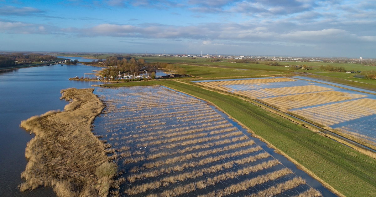 Ruimte voor Rivier IJsseldelta en project Rijn en IJssel genomineerd ...