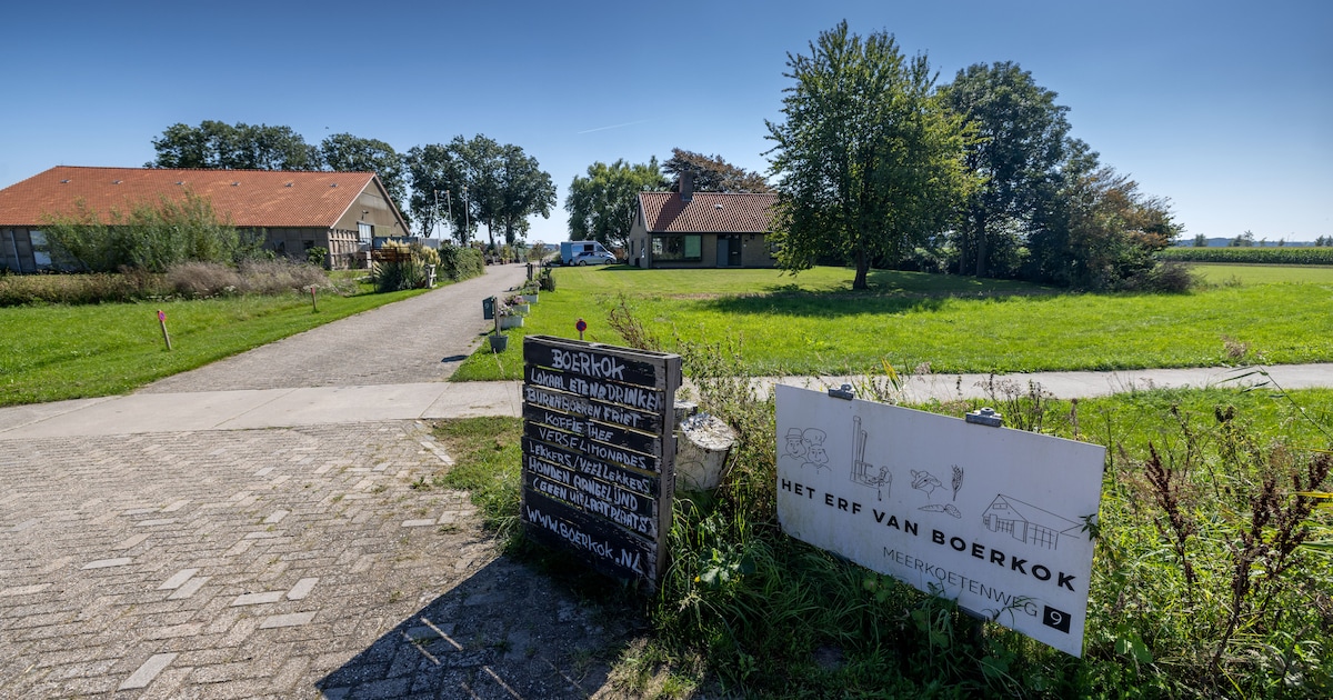 Lelystad geeft 1,3 miljoen euro uit voor ‘strategische aankopen’ van panden en gronden
