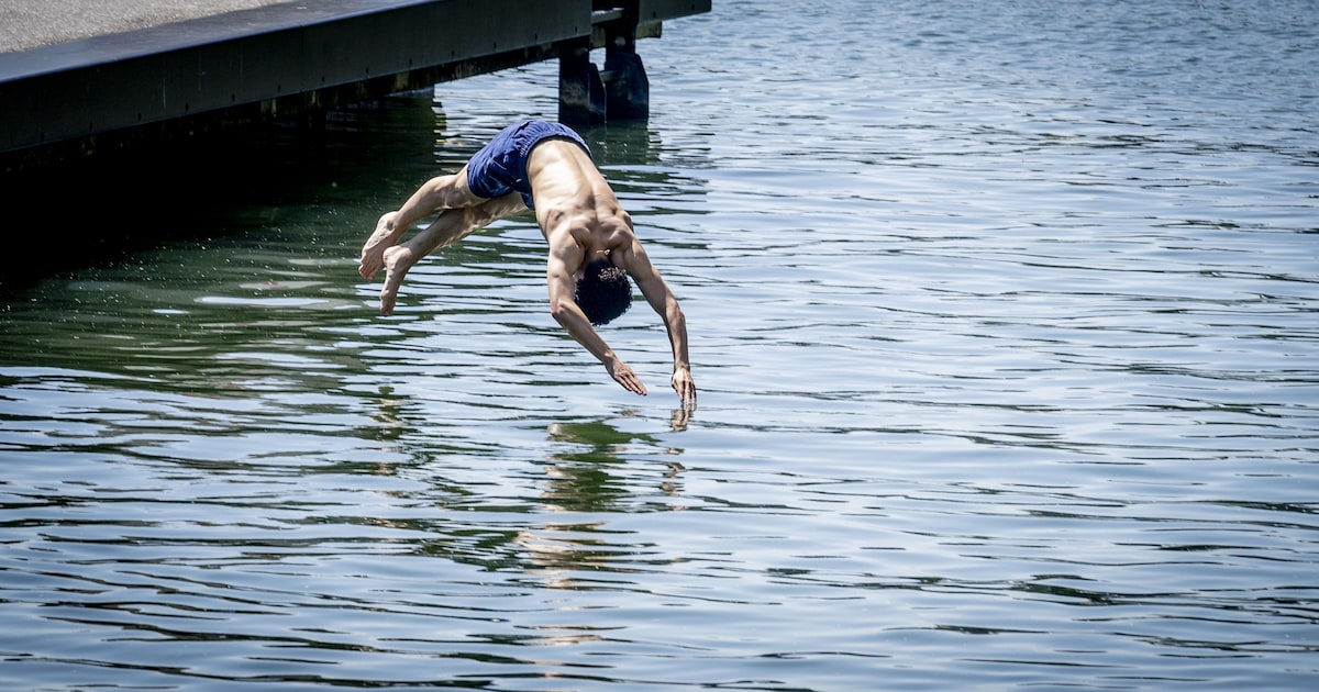 Een frisse duik nemen? Op deze zwemplekken in Nunspeet is de waterkwaliteit in orde