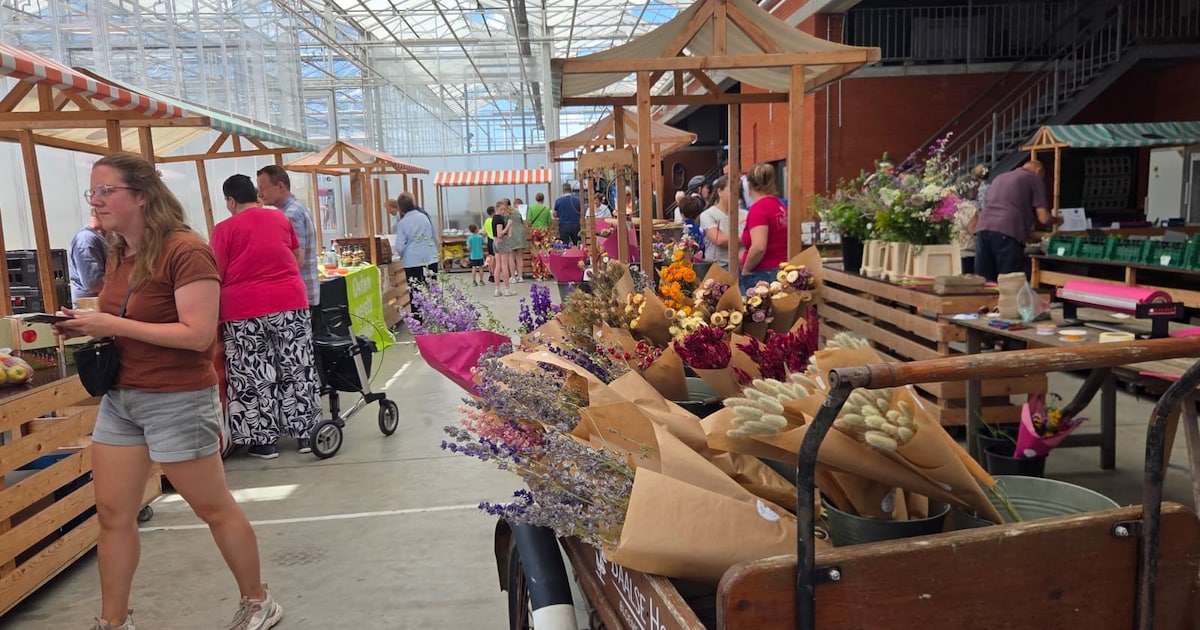 Boerenmarkt in Vilsteren staat in het teken van de zomer