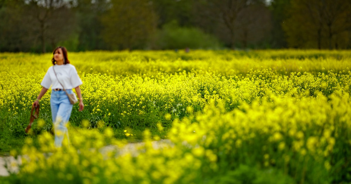 Meivakantie in Lelystad: hier kan je erop uit