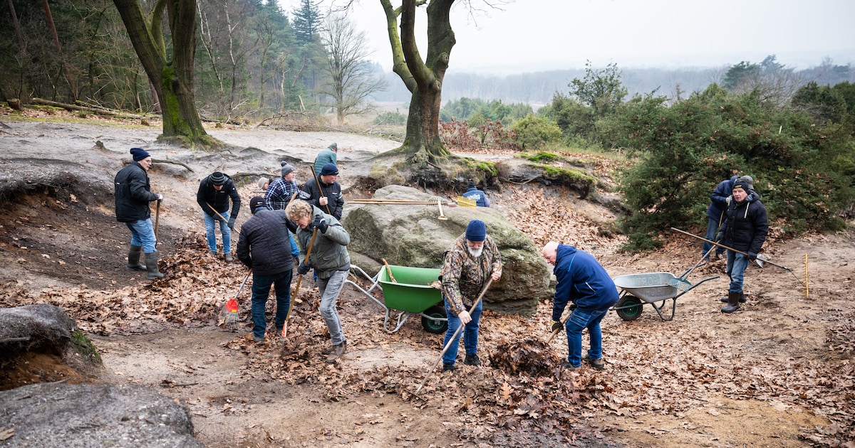 Deze reusachtige kei krijgt z’n jaarlijkse poetsbeurt: met bak sop en kruiwagens de Lemelerberg op