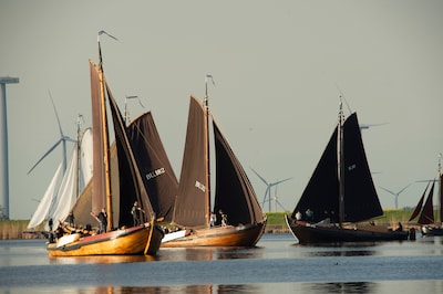 Meer schepen, meer discussies, meer spektakel: dit maakt de DARP populairder dan ooit