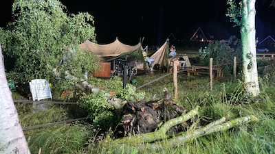 Meerdere gewonden nadat bomen op feesttent vallen tijdens bruiloft in Hollandscheveld