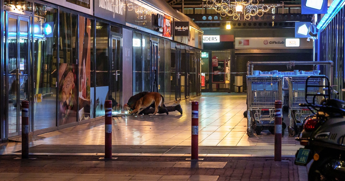 Jongen (16) uit Lelystad aangehouden voor schietpartij in Schiedam