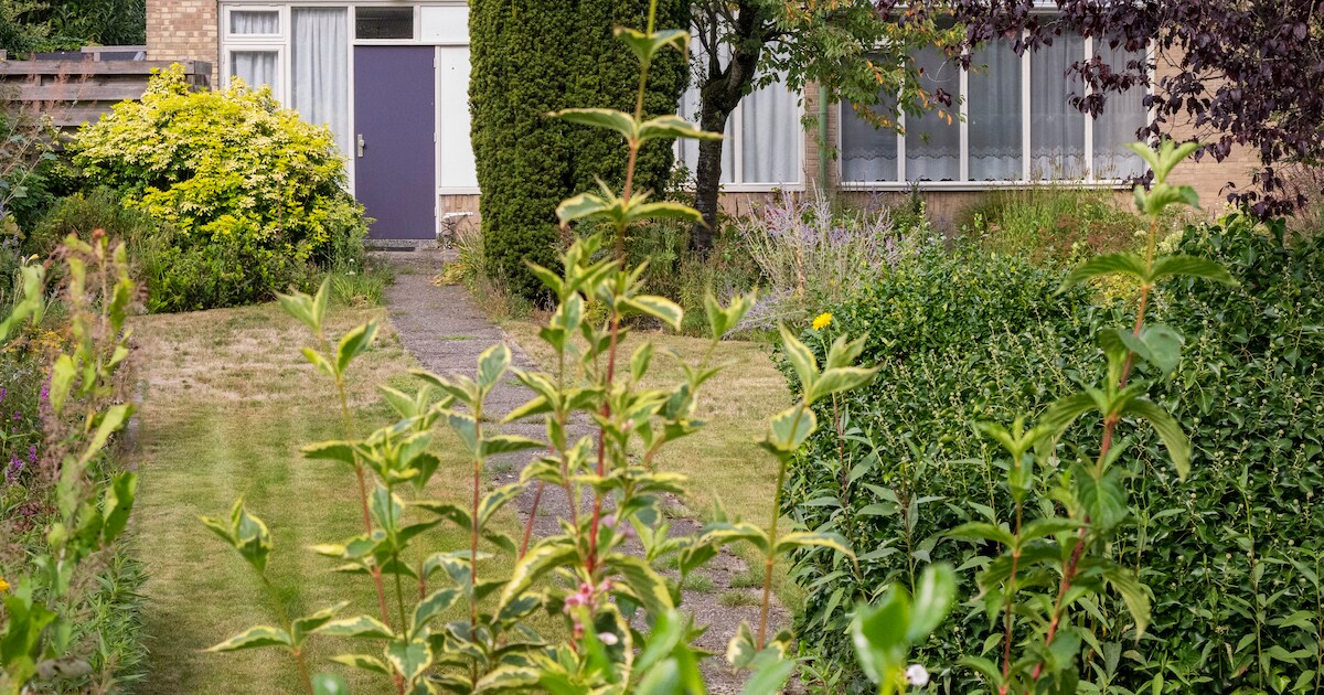 Omwonenden Smidsweg slepen Ermelo voor de rechter om opvang minderjarige vluchtelingen