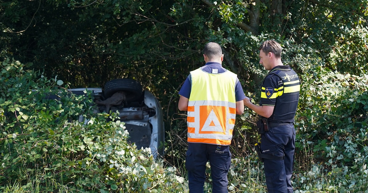 Auto raakt van de weg bij Biddinghuizen