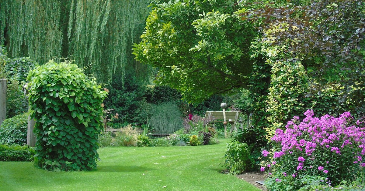 Groei & Bloei houdt Open Tuindag in Zelhem en Hengelo Gld. | Regio | De ...