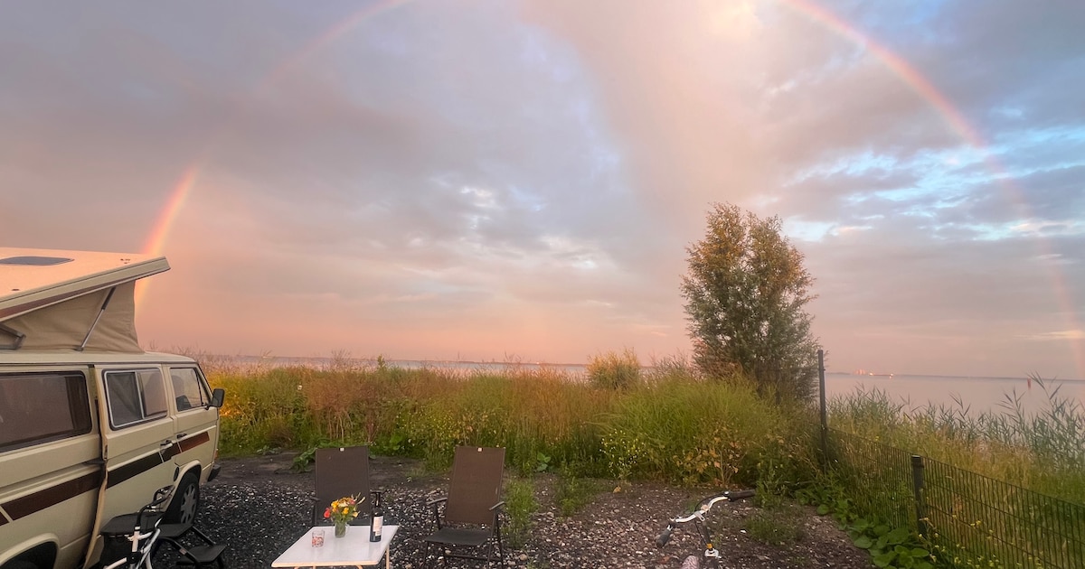 Met de camper op pad? Dit zijn volgens Park4Night de mooiste plekken in Lelystad