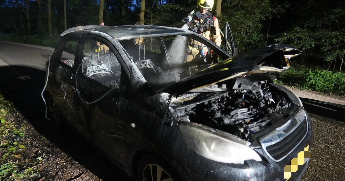Auto brandt uit op Koekoekweg in Harfsen