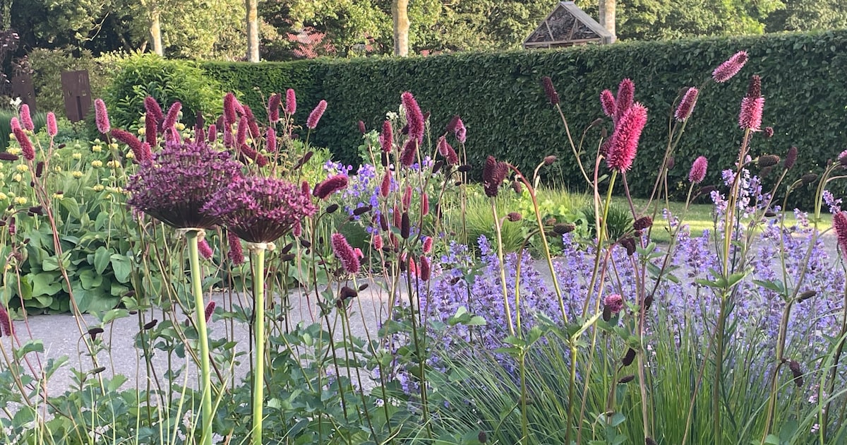 Plantenverzamelaar vertelt bij Groei & Bloei over de tuin ‘door de jaargetijden heen’.
