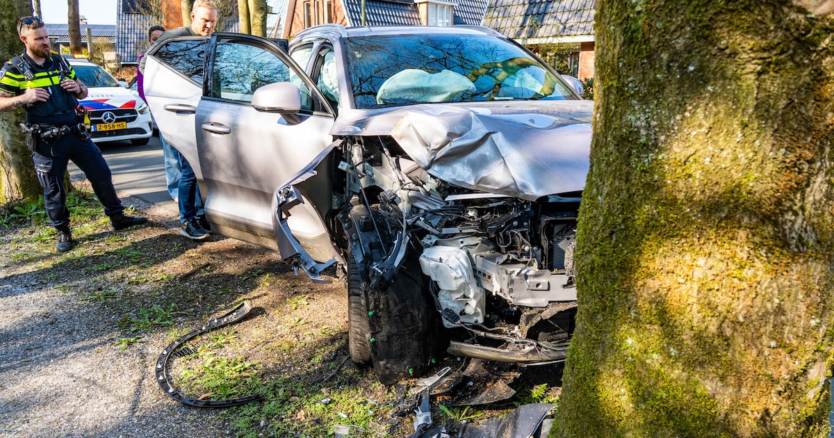 Auto knalt tegen boom in Nunspeet, bestuurder ongedeerd