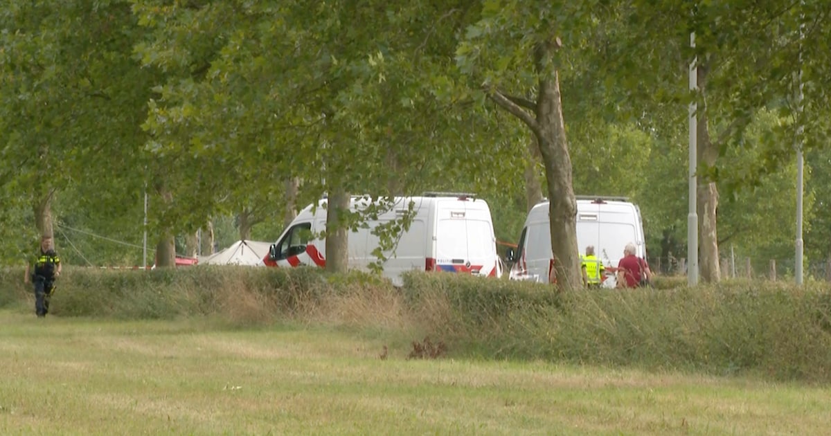 Drie mensen overleden bij verkeersongeluk in Limburg.