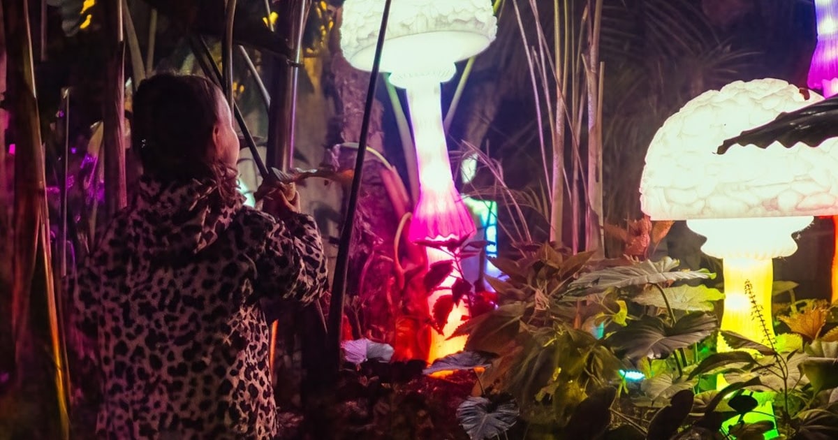 Negende editie Jungle by Night, op avondsafari in Almere