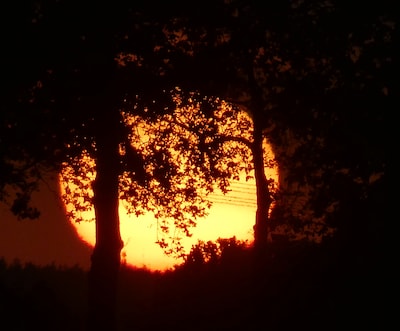 Dit stuurden jullie in: Warmste dag trakteert op ‘fenomenale’ zonsondergang • Certificering voor bui