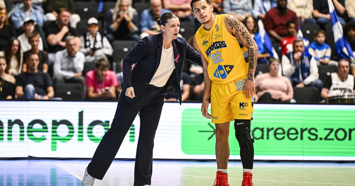J’Lynn Counter, Amerikaanse posterboy bij Landstede Hammers | Sport ...