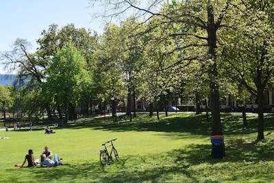 Weekendtips: deze dingen doe je in Zwolle (6 - 8 maart)