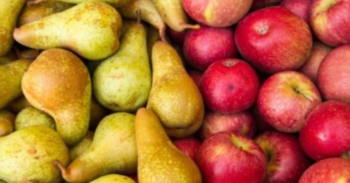 Zelf appels en peren tot sap laten verwerken tijdens fruitpersdag in Hardenberg