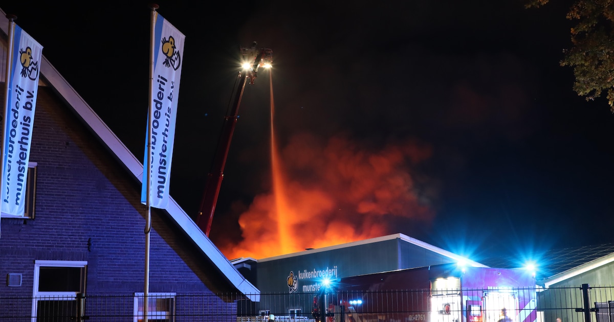 Als kuikenbroederij in Saasveld vlam vat, volgt een optocht van brandweervoertuigen