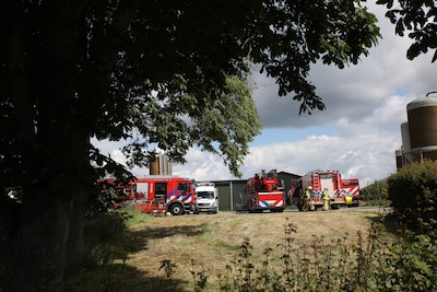 Koeien op tijd in veiligheid gebracht bij stalbrand in Wilp