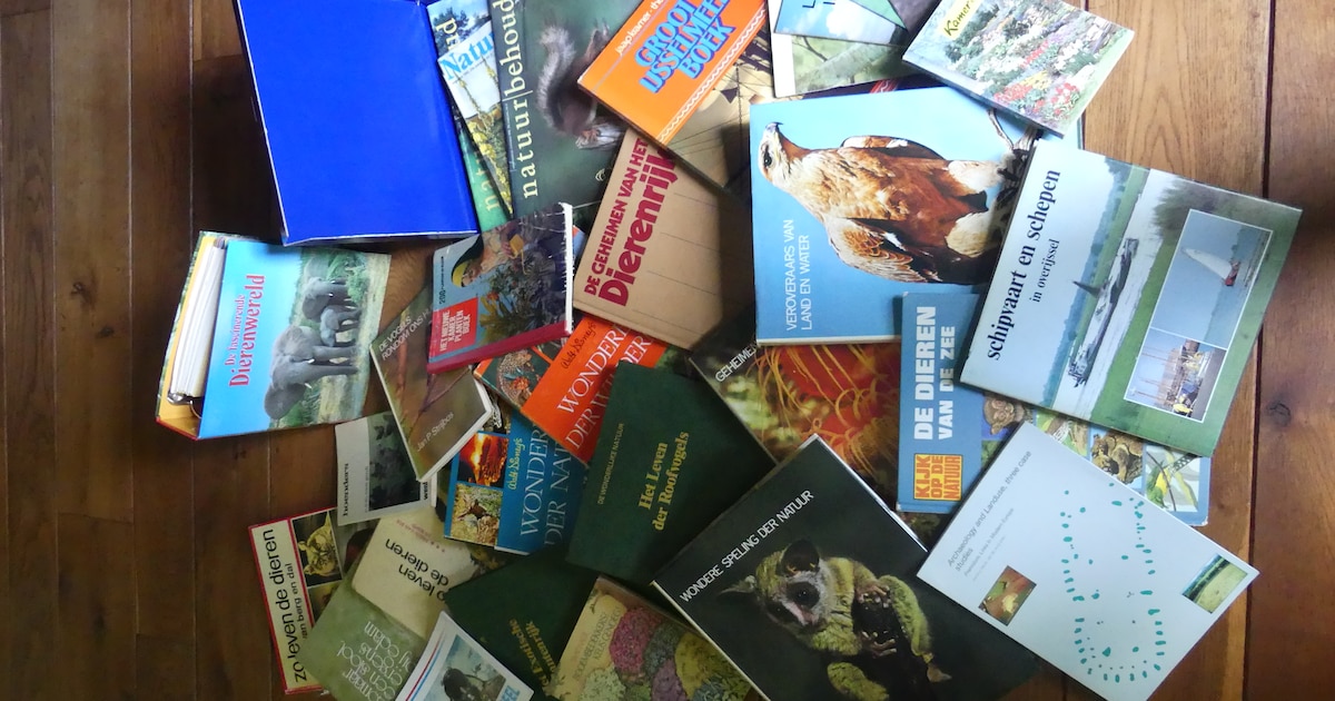 Kinderboeken, thrillers of toch liever een roman? Op deze plekken kun je terecht voor boeken