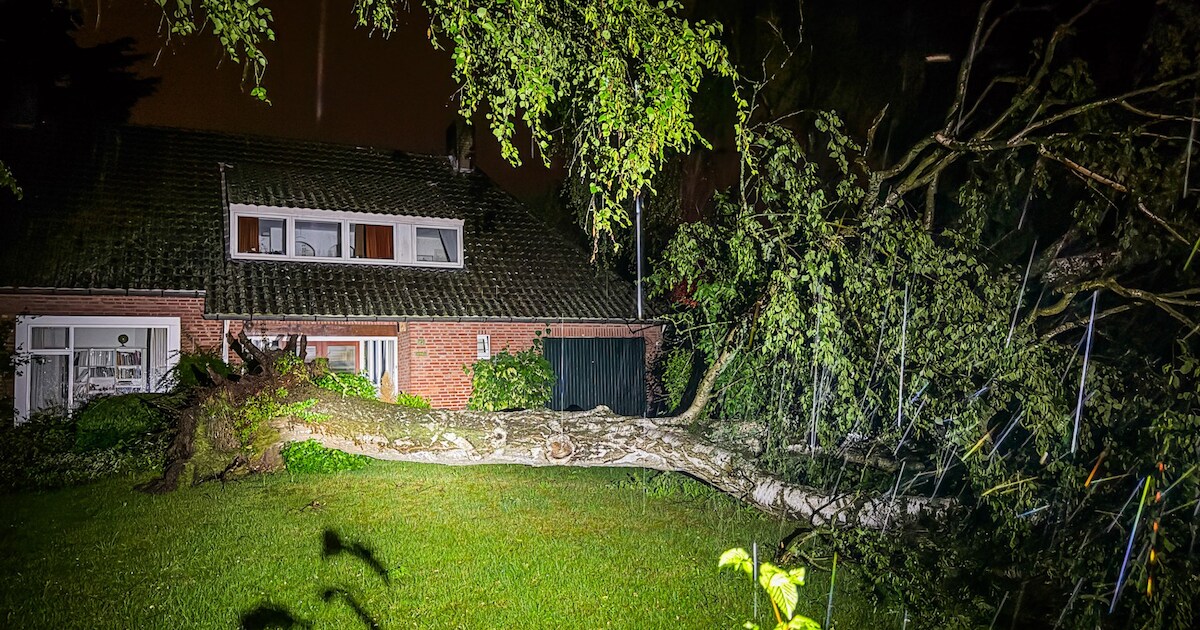 KIJK | Hevige storm in Nuenen: bomen vallen om en straten staan blank
