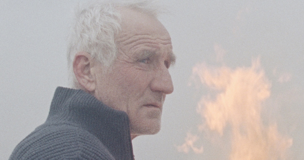 Van rietsnijder in Belt-Schutsloot naar acteur op Filmfestival van Cannes: ‘Wat overkomt ons hier?’