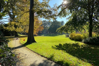 6 x hier in Zwolle maak je mooie herfstwandelingen