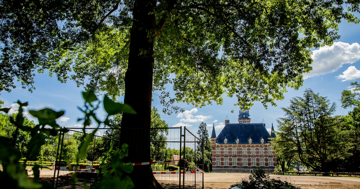 Het is ‘vijf over twaalf’ voor de bomen in de Wijchense kasteeltuin