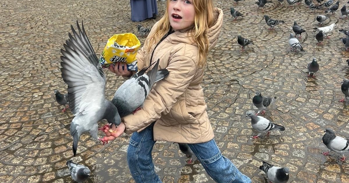 Dierendag in Amsterdam: 4 x dingen om te doen op zondag 4 oktober