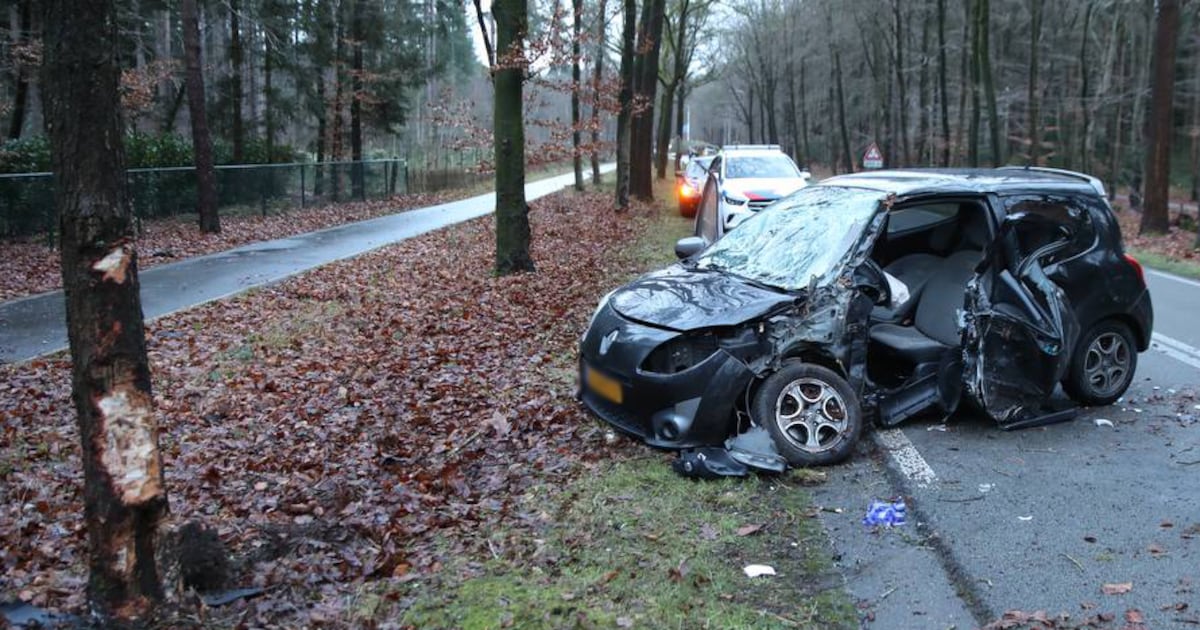 Auto raakt zwaar beschadigd bij botsing met boom buiten Epe, bestuurder naar ziekenhuis