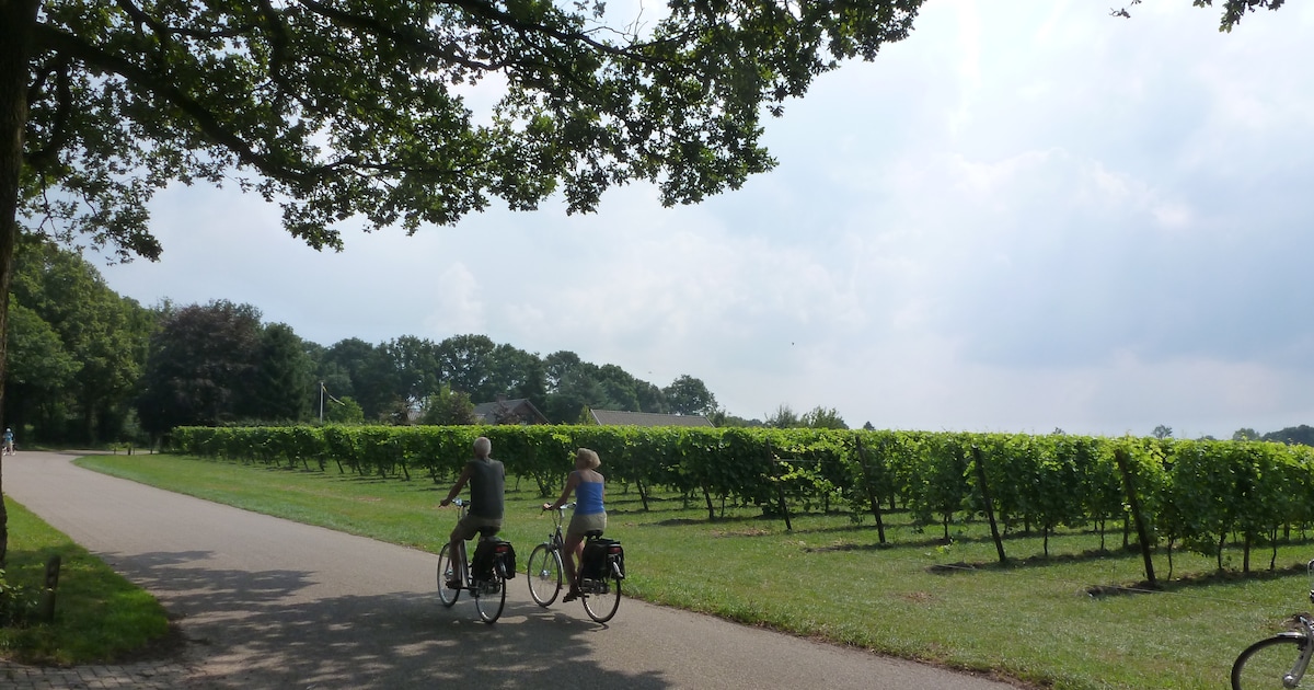 VVV Dinxperlo biedt grensoverschrijdende fietsroute in juli